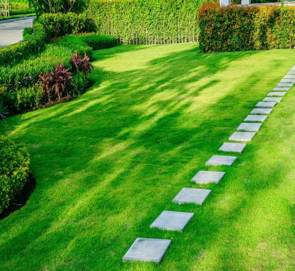 Landscape-Service-page